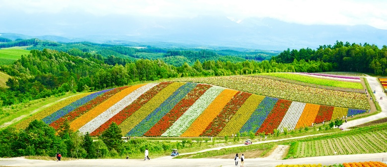 北海道富良野の画像