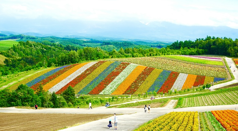 富良野の画像