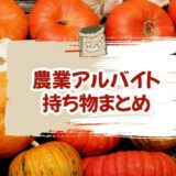 【実体験から】農業アルバイトの持ち物まとめ！