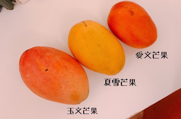 台湾マンゴーの種類とスーパーでの買い方 マンゴーの切り方の紹介 リゾバまじっく あの頃 リゾートバイトをして 今台湾