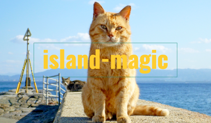 【island-magic】離島リゾートバイトの恋愛・ワンチャン事情解説