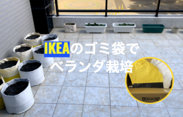 IKEA（イケア）のゴミ箱（袋）を使ってベランダ栽培をした体験談