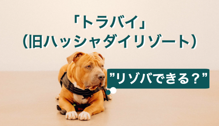 まとめ|「トラバイ 」(旧ハッシャダイリゾート)でリゾバはできる?